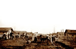Des femmes et des enfants doukhobors travaillent  la construction d'une rue dans un village de la Saskatchewan vers 1899. Les hommes sont partis travailler comme salaris pour la compagnie ferroviaire.