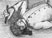 Who Killed William Robinson? Race, Justice and Settling the Land
