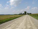 Roman Line, 2005