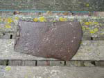 Axe Found at the Donnelly Homestead