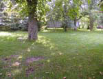 Area Where Mob Attacked Tom Before He Was Dragged Back Into the House