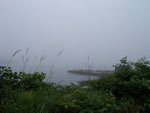 Sandy Cove par temps de brme