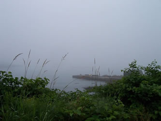 [ Sandy Cove par temps de brme ]