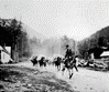 Pack train leaving Bella Coola
