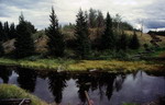 Fish trap from Chilcotin War and earthworks