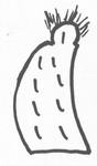 Smallpox Figure 1837