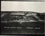 Hillside, Bonanza Creek