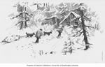 Forty Below Zero
