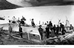 Klondikers boatbuilding, possibly at either at Bennett Lake or Lindeman Lake
