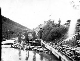 [ Four miners engaged in sluicing operation ]