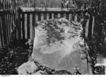 La tombe de James Watson