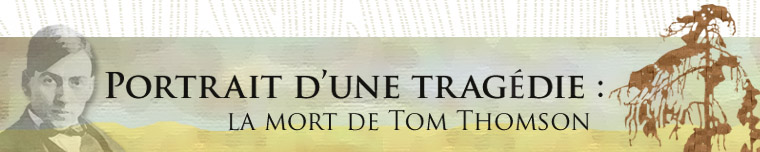Bannire de site Web de Thomson