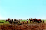 Plowing the Prairies