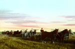 Women driving horse-drawn grain harvesters in Saskatchewan