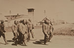 Zealots who burned the Verigin dom (community home) at Otradno are led to jail by police