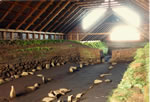 La halle de Stng mise au jour 