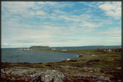 [ L'Anse aux Meadows General View ]