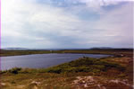 Black Duck Pond