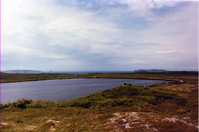 Black Duck Pond