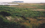 Vue de la crte, au sud du site