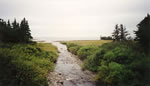 Parkers Brook, Pistolet Bay, T.-N.