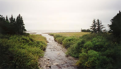 Parkers Brook, Pistolet Bay NL