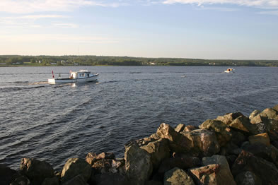 The Miramichi river near its mouth