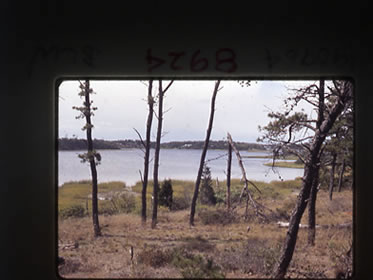 The Bass River