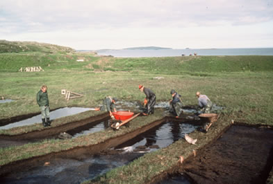 Fouilles de la tourbire  l’ouest de la halle A, 1976