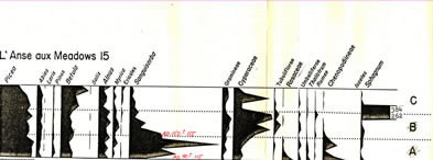 Diagramme du pollen dans un monolithe