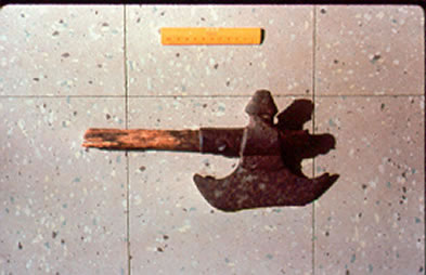 Lake Darling Halberd