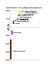 Timeline