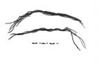 Cordes tresses